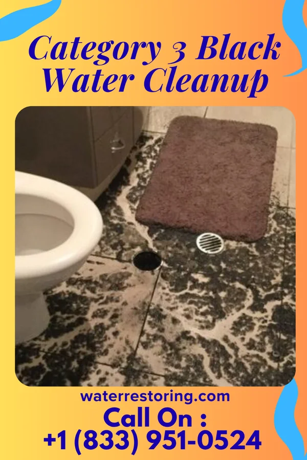 Category 3 Black Water Cleanup in Clarkston, GA