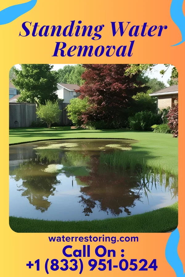 Standing Water Removal in Clarkston, GA